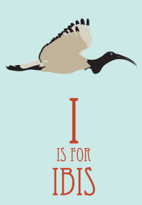 ibis_simple