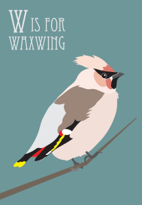 waxwing_simple